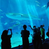 【沖縄旅行】旭川から4泊5日で実際いくら？リアルな旅費を大公開！