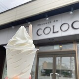 ケーキ屋さんだからこそ美味しい。旭川・近郊のソフトクリーム3選