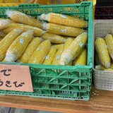 【旭川・比布・深川】旬のとうきびを買うならココ！おすすめ直売所3選
