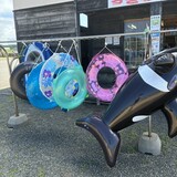 【小平町鬼鹿】海デビューにもぴったり  海と遊びがそろう 海水浴場♪