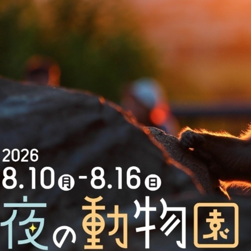 旭山動物園「夜の動物園」の開催について