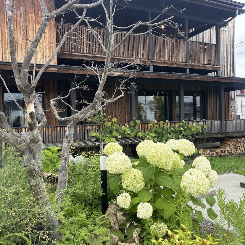 旅行に行く時間はないけど、楽しめる東川　パート２