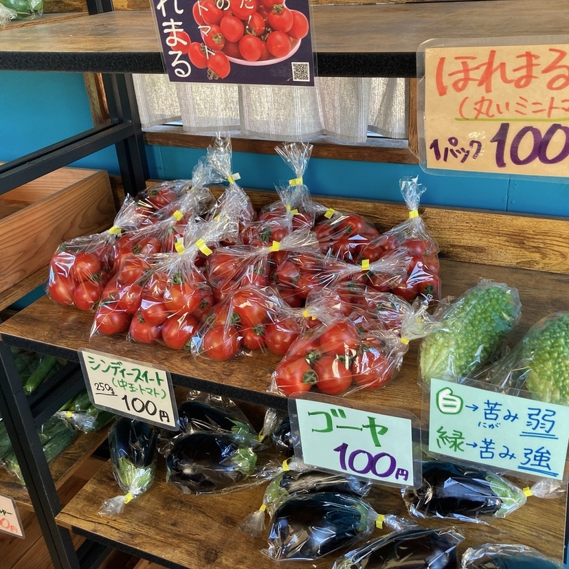 【美瑛町・東川町】2026年の直売所めぐり！新鮮野菜と旬のとうきびを求めて