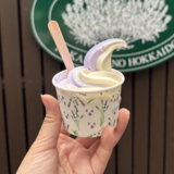 旭川市近郊で食べられるお花のソフトクリーム4選【富良野・北竜・秩父別】