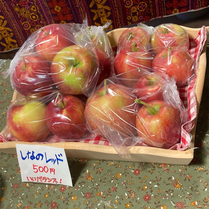 【旭川市・当麻町】2026年の直売所めぐり！旬のりんご・野菜・しいたけをお得にゲット