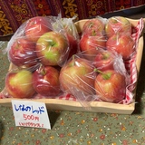 【旭川市・当麻町】2026年の直売所めぐり！旬のりんご・野菜・しいたけをお得にゲット