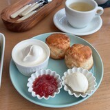 【旭川市】旭川グルメ三本勝負！それぞれ違うのに全部おいしい一日