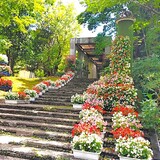 温室は小さなジャングル！神楽岡公園の「緑のセンター」で植物探し