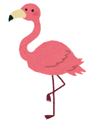 Animal flamingo