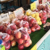旭川産のおいしいリンゴを食べて果樹農家さんを応援しましょう！
