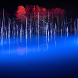 [2020] The blue pond illumination