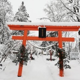 Where should I go for the first shrine visit? Here are our Asahikawa shrines guide !