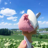 Ice creams you can buy at Asahikawa Airport and its surroundings!