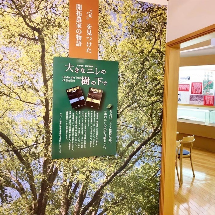 【開催中】三浦綾子記念文学館『大きなニレの樹の下で』企画展