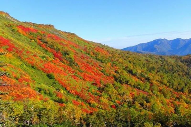 層雲峡 銀泉台 セール 登山 バス