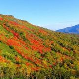 日本一早い紅葉‼赤岳銀泉台情報