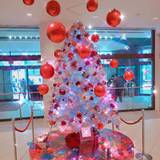 2021年旭川クリスマスツリー情報♪みんなのツリー写真も！