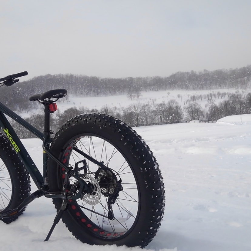 【新・冬のスポーツ？】旭川とその近郊でファットバイクの雪上サイクリング(レンタル)が体験できる場所3選