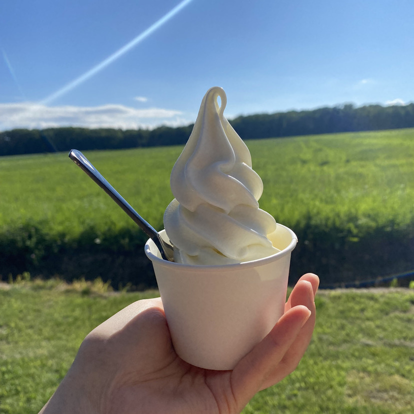 北海道江別市にある牛乳の味にこだわった【おかしな】ソフトクリーム【浅井未歩】