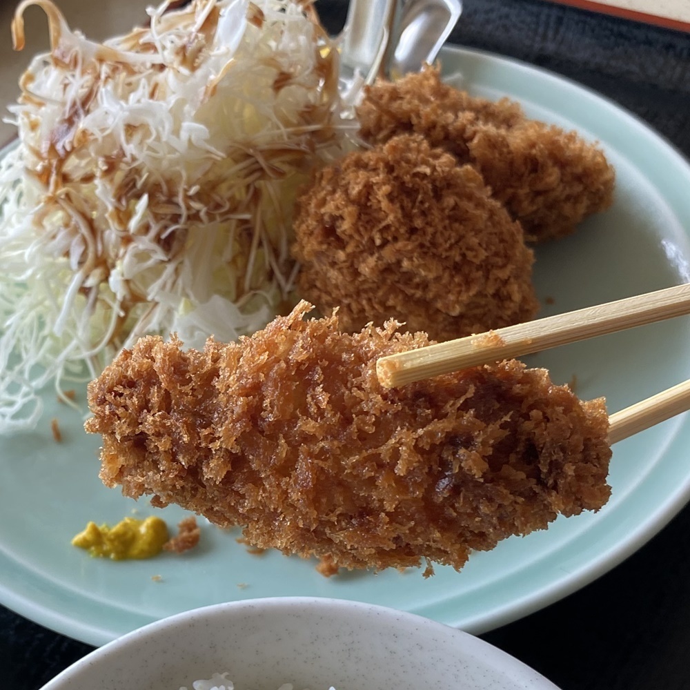 外はサクサク中はジューシーな揚げ物を食べて気分はアゲアゲ！ | asatan