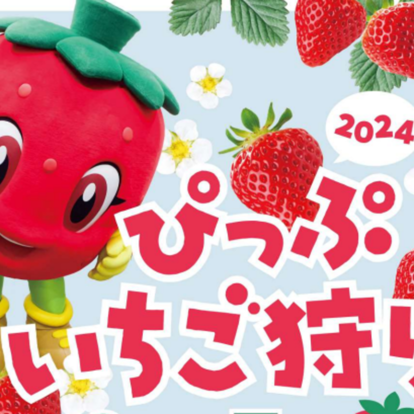 【6月中旬～】ぴっぷいちご狩り2024が今年も開始！