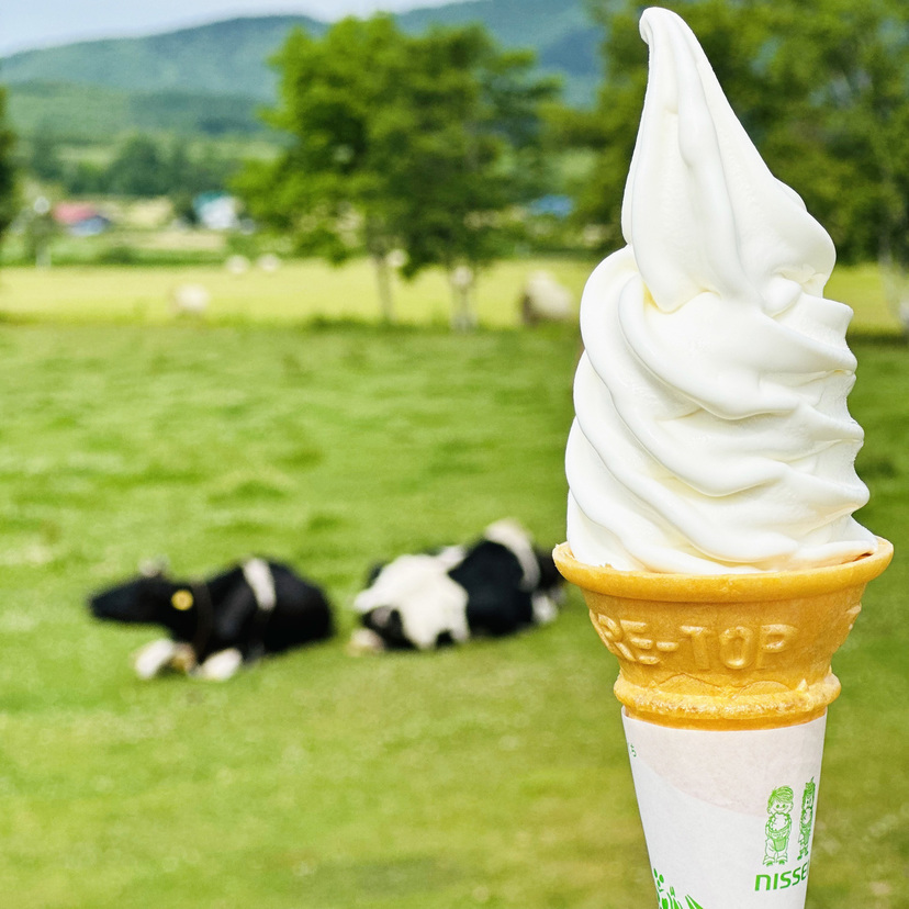 牛を見ながらソフトクリーム♪旭川中心部から30分の江丹別おすすめ店