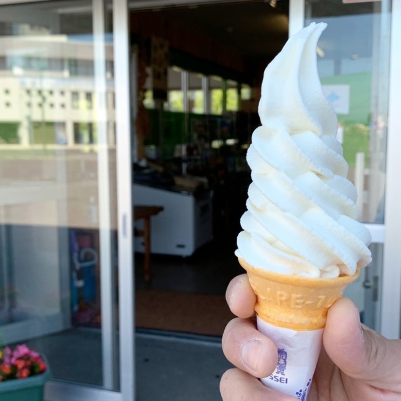 夏に食べたいおすすめソフトクリーム3選