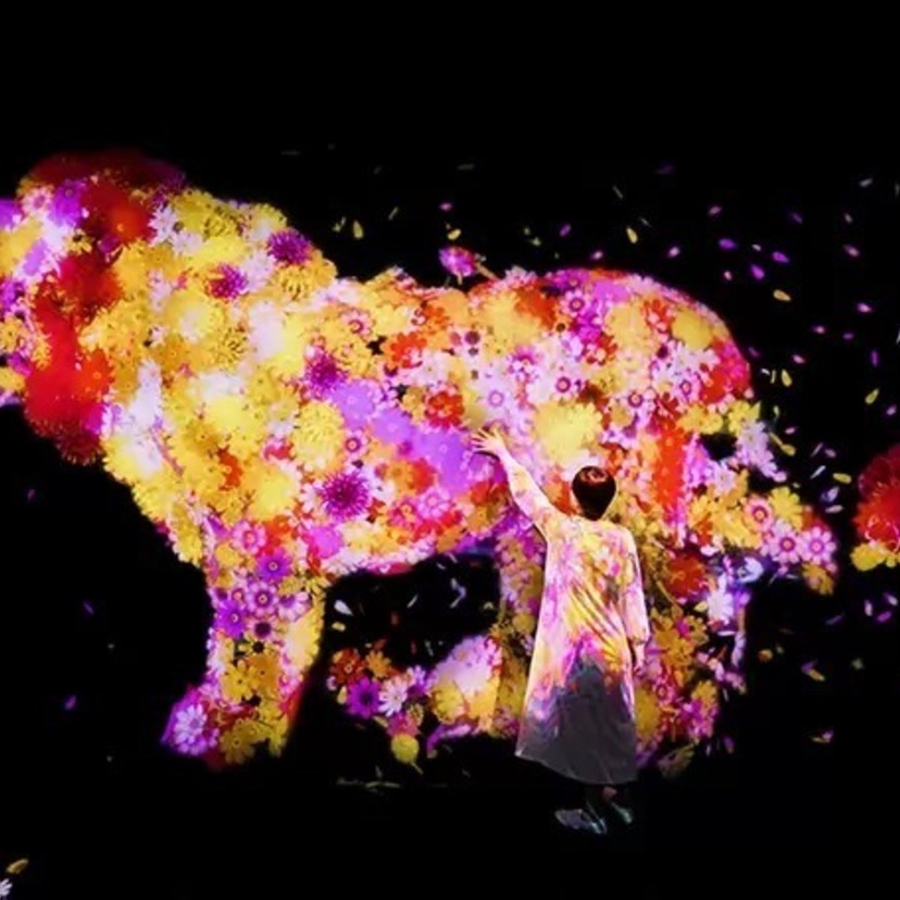 【7月8日～】札幌芸術の森でチームラボの未来の遊園地と、花と共に生き る動物たち開催