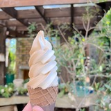 【旭川】暑い夏にはソフトクリームを！緑で涼みながらいただけるおすすめ店をご紹介