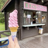 涼しくなってきたこれからが食べ頃！滝上・旭川・洞爺湖のソフトクリーム