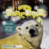 「雪あかりの動物園」の開催について《2月６日から２月11日まで》