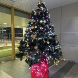 【12月17日】旭川空港でクリスマスフェスタ開催！限定商品&グルメの販売あり