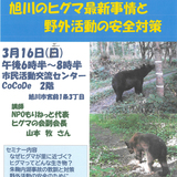 【3月16日】旭川のヒグマ最新事情と野外活動の安全対策【セミナー】