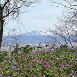 【旭川】男山自然公園が満開！自然と触れ合うおすすめのスポット