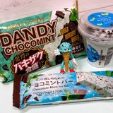 スースー!チョコミントグルメ2024 第8弾『400円以下』で買えるチョコミントアイスとおやつ