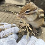 【旭川市】から「オホーツク」への旅【網走市】編