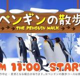 【旭山動物園】「ペンギンの散歩」について：3月2日から午前11時のみ