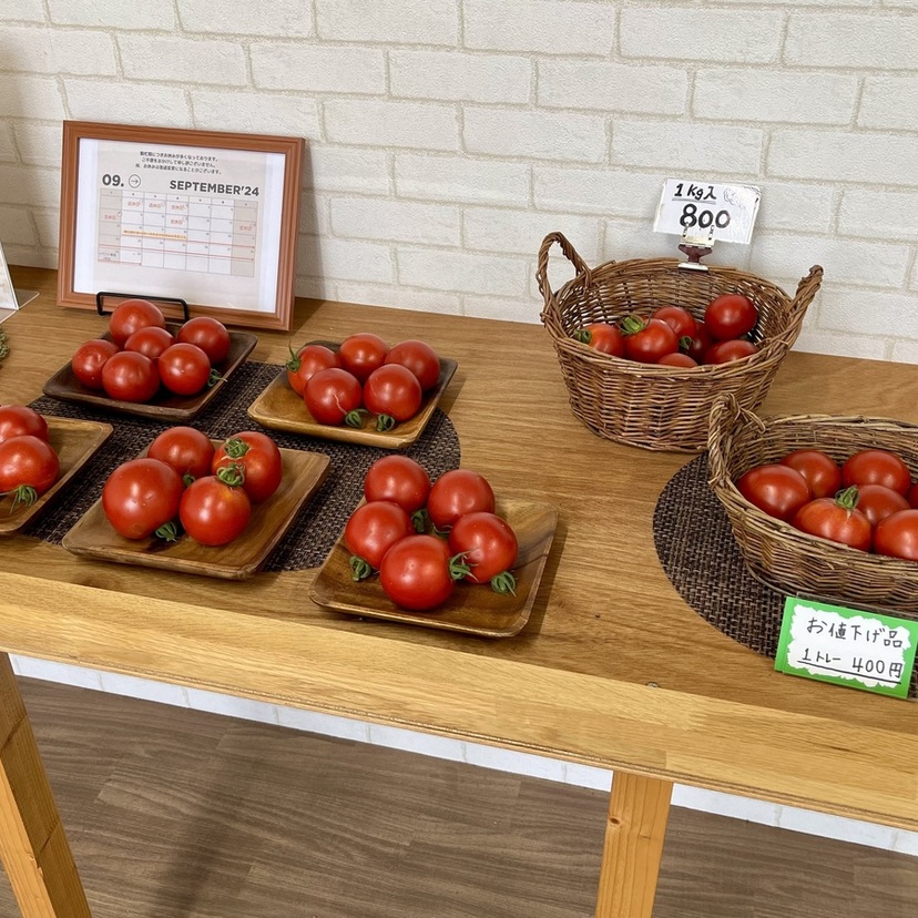 【生産直売】旭川産！新鮮な野菜を“お得に安く”買える直売所を紹介！