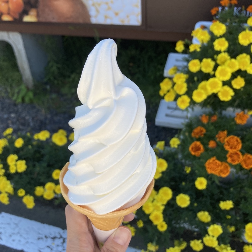 紅葉狩り♪大雪山層雲峡の紅葉を見に行くときに寄りたい【上川町】の立ち寄りスポット