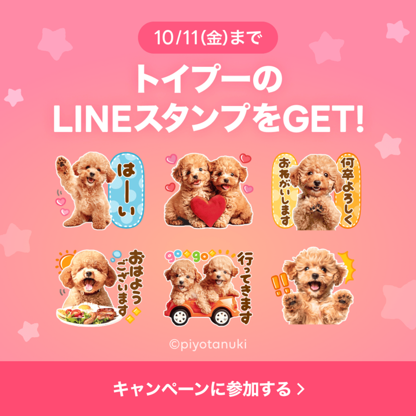 「トイプー×選べるニュース」LINEスタンププレゼントキャンペーンを実施！