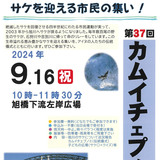 【9月16日】旭橋下流でサケを迎える市民の集い開催