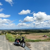 【旭川発】レンタルバイクで行く！絶景の富良野・美瑛を巡る日帰りツーリング