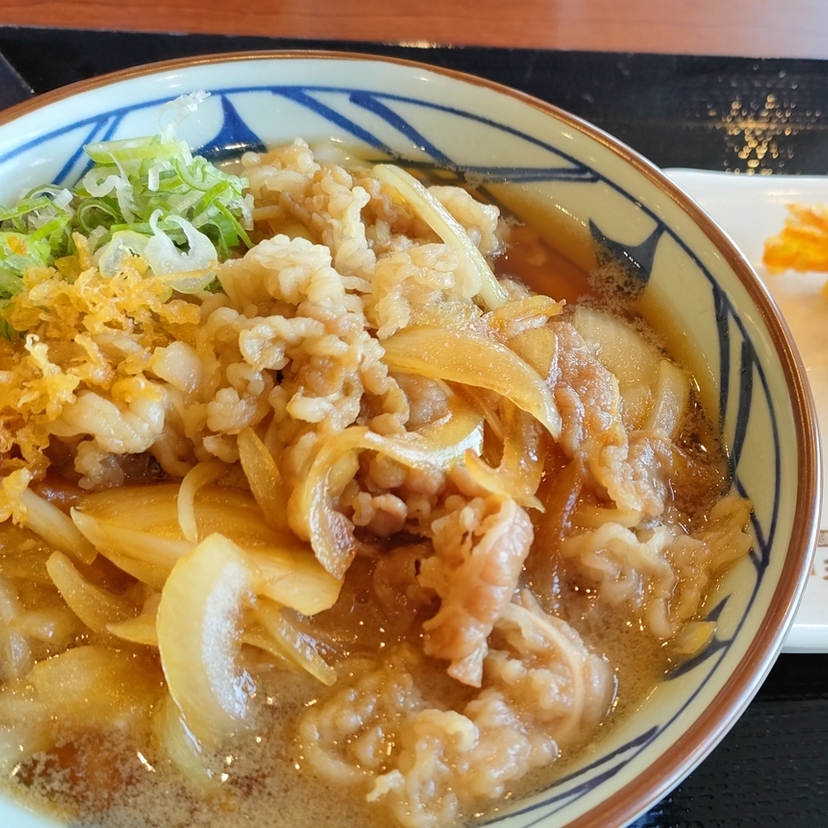 秋こそ「肉うどん」で温まろう！【旭川市】チェーン店で味わう肉うどん３選