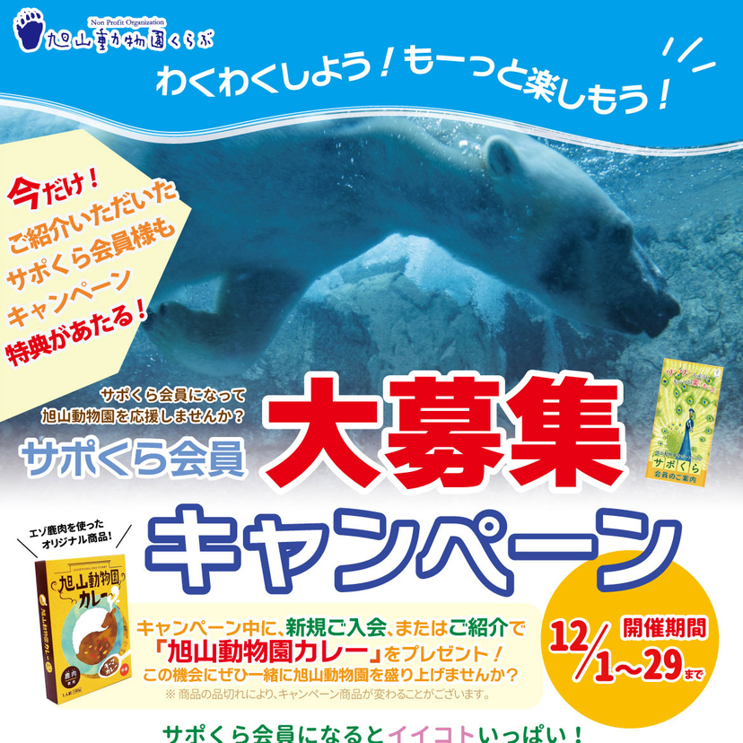 【12月29日まで】旭山動物園を応援しよう！「サポくら」新規会員大募集キャンペーン実施中！