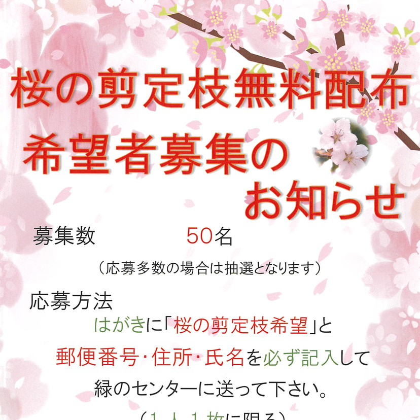 【2月7日まで】桜の剪定枝無料配布希望者募集のお知らせ