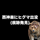 【旭川市】西神楽にヒグマ出没(痕跡発見)