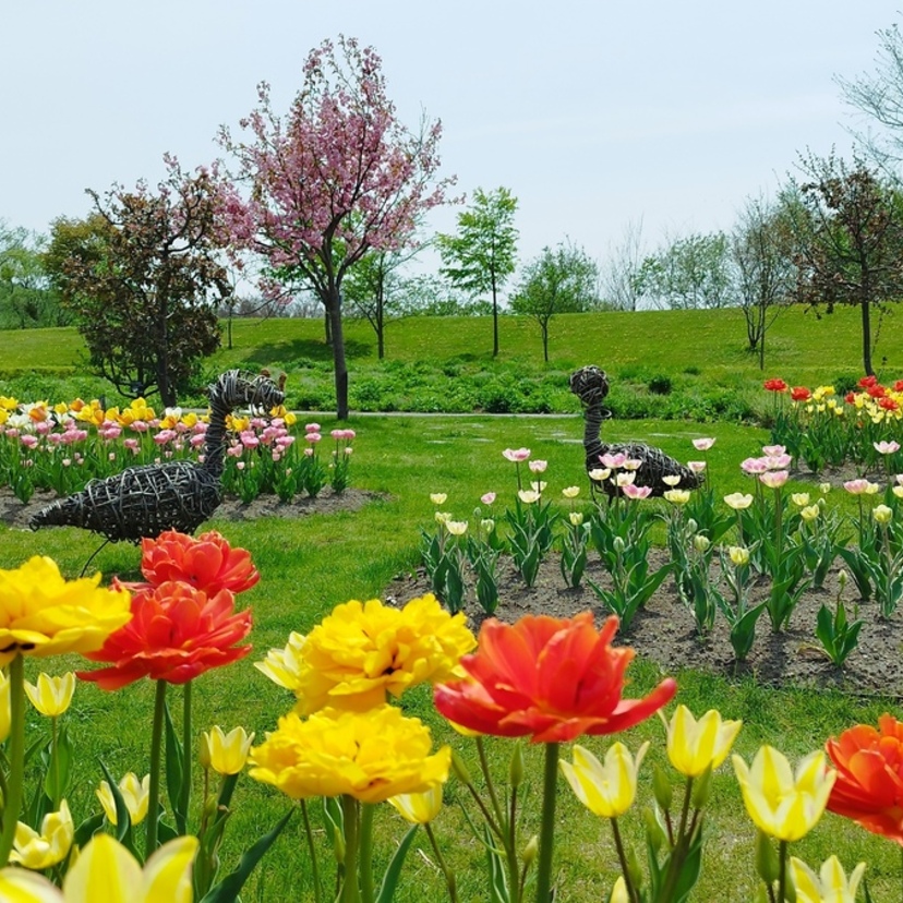 【旭川駅チカ 自然×カフェ】徒歩圏内で癒される北彩都エリアのおすすめ3選