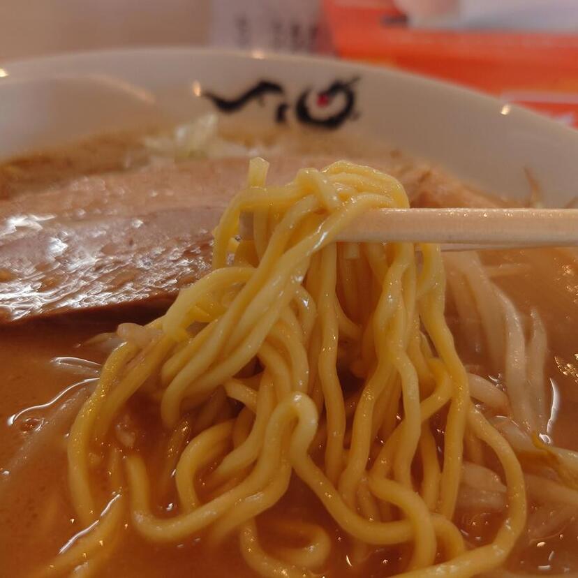 ラーメン食べ歩き♪チャーシューの旨さが際立つ！【旭川市】