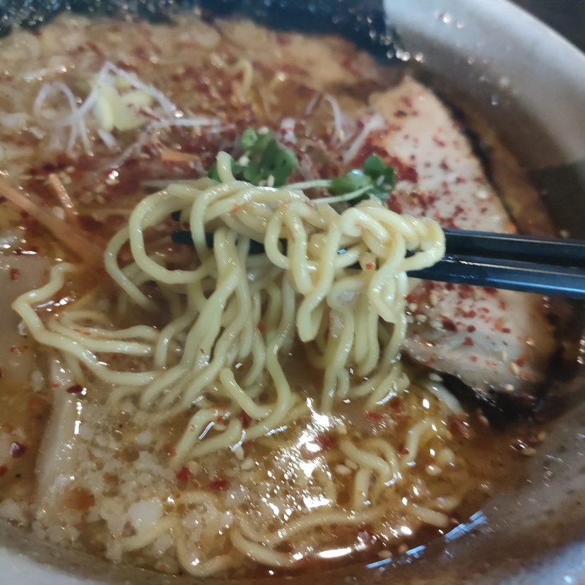 【旭川市】東光エリアで味わえる満足度抜群のラーメン３選