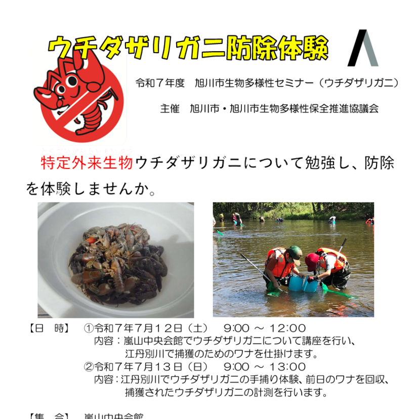【7月12日・13日】旭川市でウチダザリガニ防除体験開催